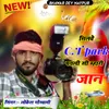 About Milwe c.t park patli si mhari Jaan Song